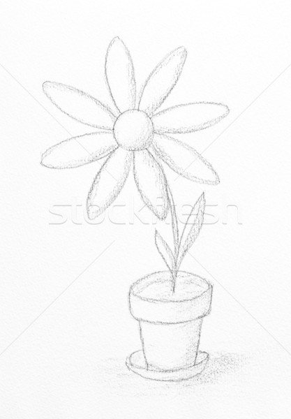 Floare Schiţă Vopsit Creion Flori Hartie Imagine De