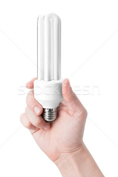Lámpara mano energía ahorro casa Foto stock © donatas1205