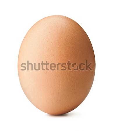 Brown egg Stock photo © donatas1205