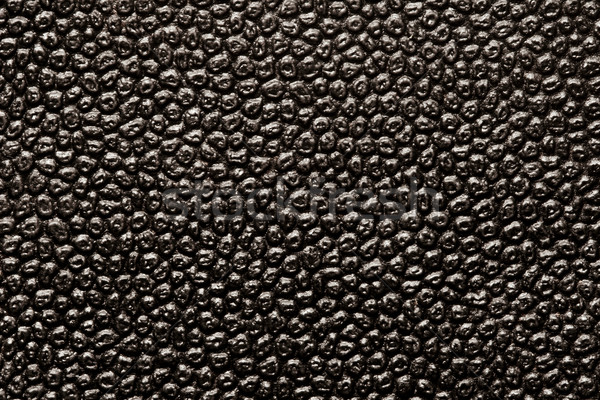 black leather Stock photo © donatas1205