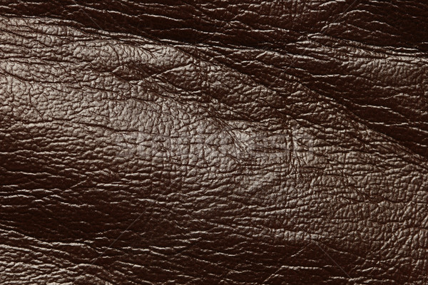 brown leather Stock photo © donatas1205