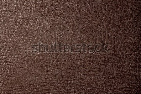 brown leather Stock photo © donatas1205