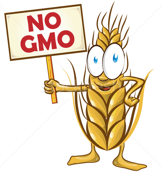 wheat cartoon with signboard no gmo isolated on white  backgroun Stock photo © doomko