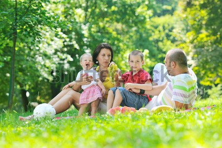 happy young couple with their children have fun at park Stock photo © dotshock