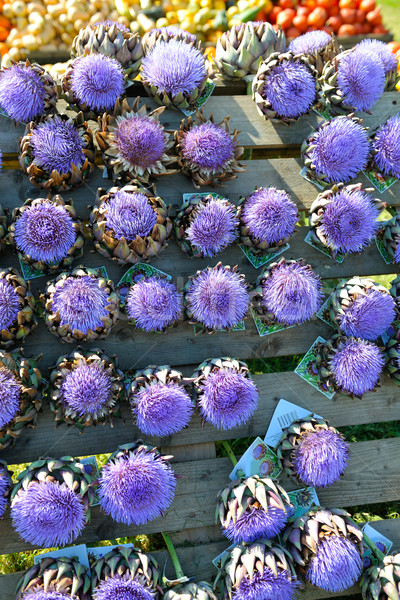 artichoke purple flower Stock photo © dotshock