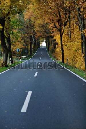 country road Stock photo © dotshock