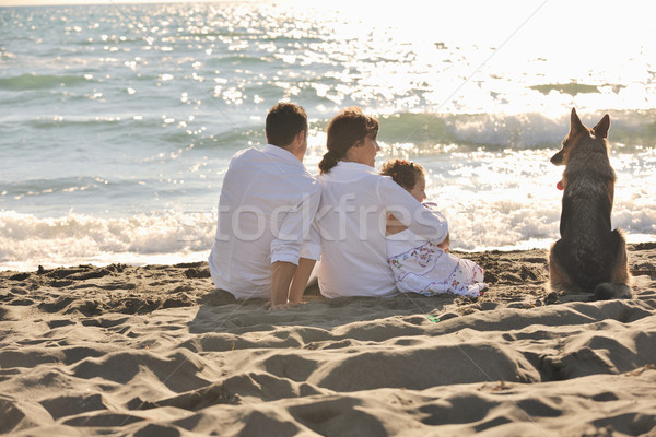 happy family playing with dog on beach Stock photo © dotshock