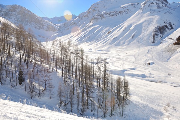 Stok fotoğraf: Yüksek · dağlar · kar · kış · taze · kış · sezonu