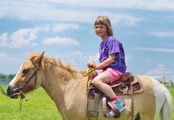 Foto stock: Criança · pónei · feliz · marrom · blue · sky