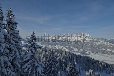 Montanha inverno paisagem natureza árvore fresco Foto stock © dotshock