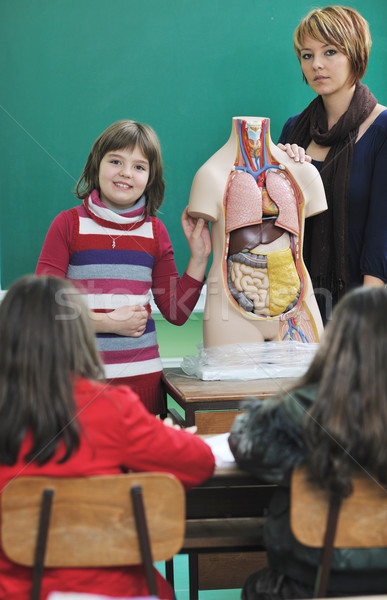 Imparare biologia scuola felice bambini gruppo Foto d'archivio © dotshock