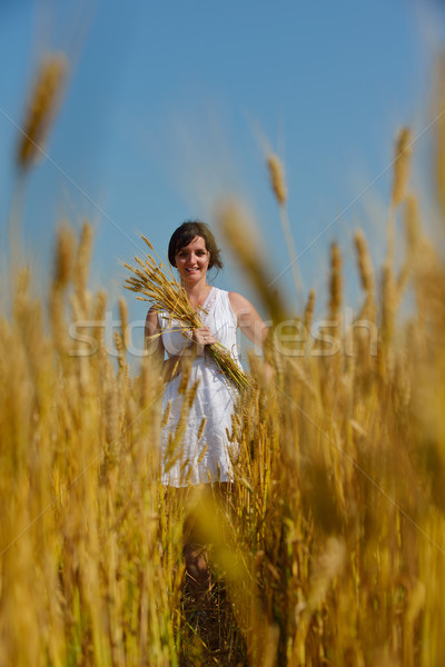 Mulher jovem campo de trigo verão em pé saltando corrida Foto stock © dotshock