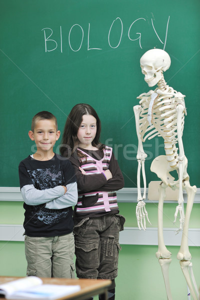 Lernen Biologie Schule glücklich Kinder Gruppe Stock foto © dotshock