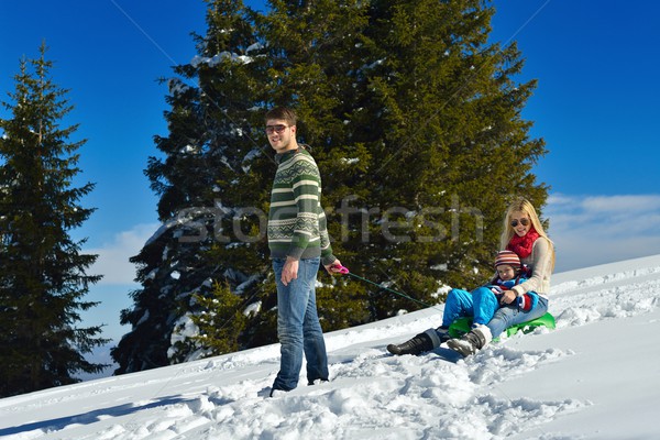 Család szórakozás friss hó tél vakáció Stock fotó © dotshock