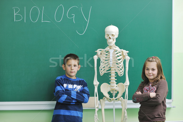 Imparare biologia scuola felice bambini gruppo Foto d'archivio © dotshock