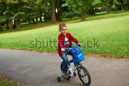 Nagyapa gyermek jókedv park boldog játék Stock fotó © dotshock