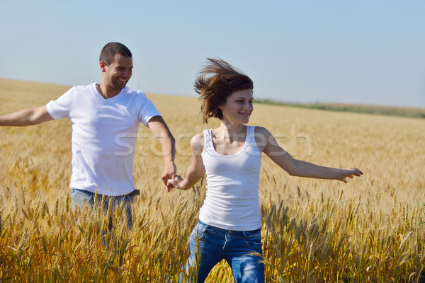 Felice Coppia campo di grano amore romance Foto d'archivio © dotshock