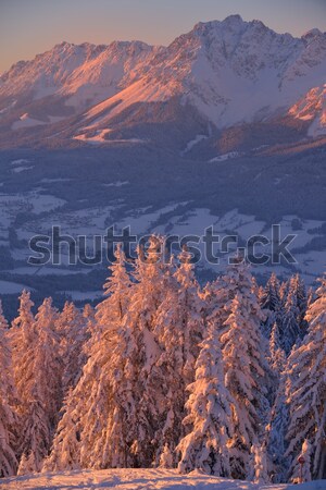 Berg Winter Landschaft Natur Baum frischen Stock foto © dotshock