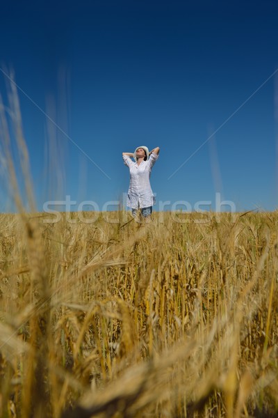 Mulher jovem campo de trigo verão em pé saltando corrida Foto stock © dotshock