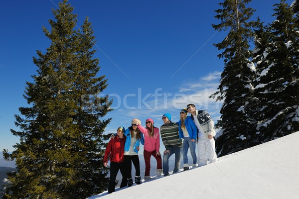 friends have fun at winter on fresh snow Stock photo © dotshock