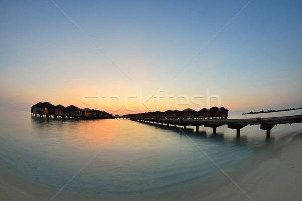 Plage tropicale nature paysage sable blanc été résumé [[stock_photo]] © dotshock