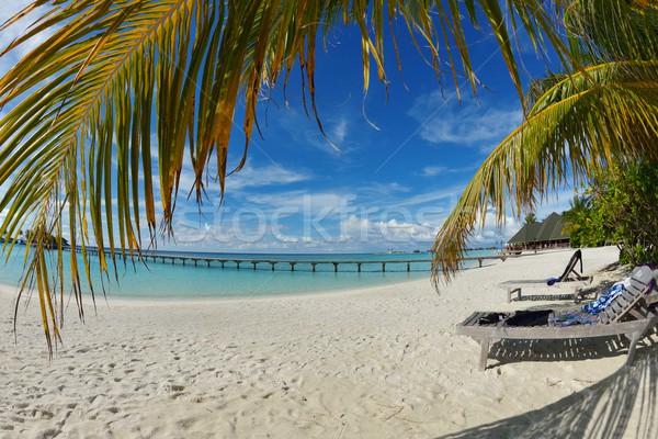 Spiaggia tropicale natura panorama sabbia bianca estate abstract Foto d'archivio © dotshock