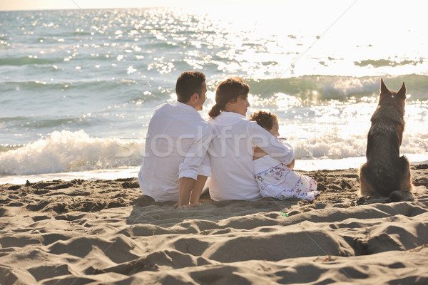 happy family playing with dog on beach Stock photo © dotshock
