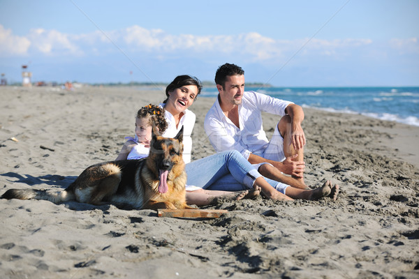 Foto stock: Família · feliz · jogar · cão · praia · feliz · jovem