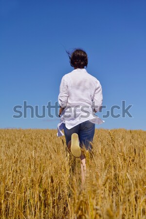 Mulher jovem campo de trigo verão em pé saltando corrida Foto stock © dotshock