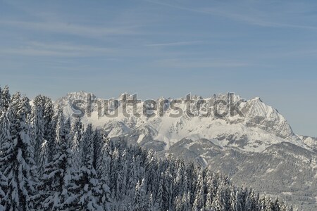 Hegy tél tájkép természet fa friss Stock fotó © dotshock