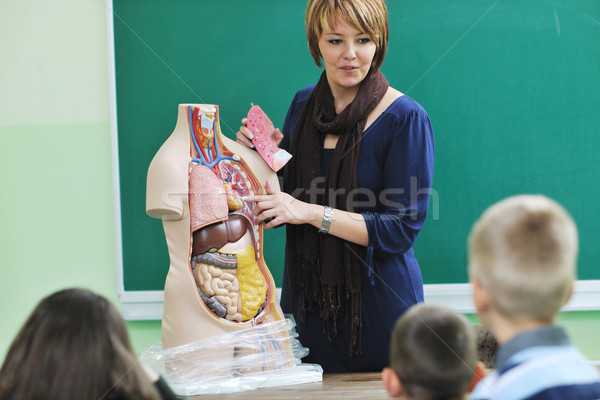 Lernen Biologie Schule glücklich Kinder Gruppe Stock foto © dotshock