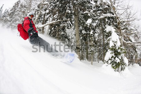 Vers diep sneeuw springen gratis Stockfoto © dotshock