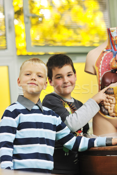 Nauczyć biologii szkoły szczęśliwy dzieci grupy Zdjęcia stock © dotshock