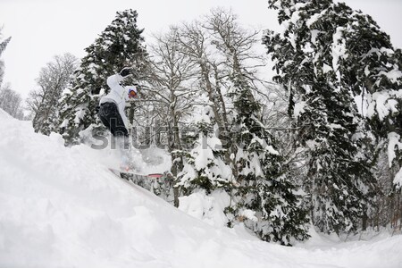 スノーボーダー 新鮮な 深い 雪 ジャンプ 無料 ストックフォト © dotshock