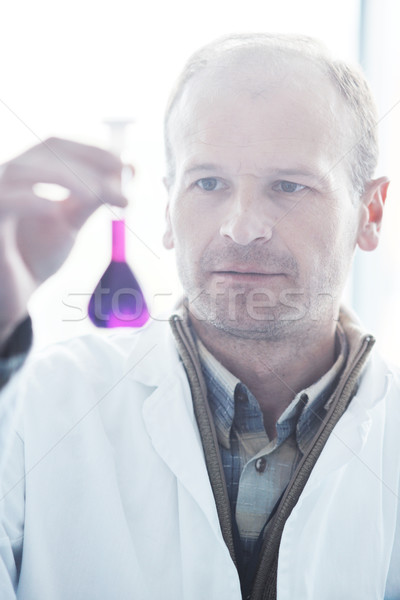 Araştırma bilim insanlar doktor öğrenci parlak Stok fotoğraf © dotshock