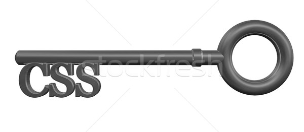 Css kluczowych metal tag biały 3d ilustracji Zdjęcia stock © drizzd