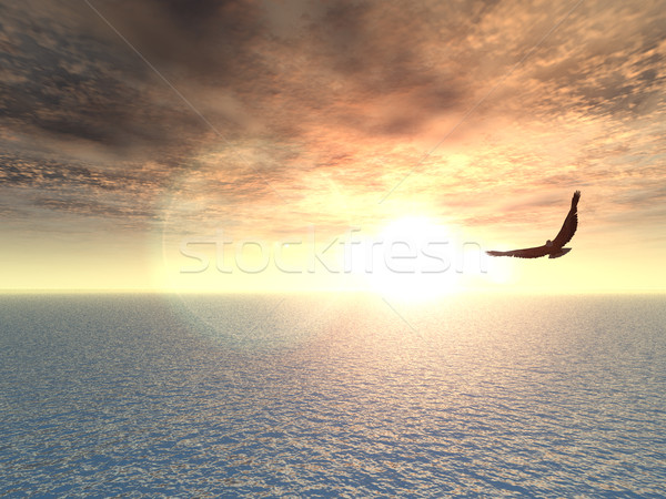 орел Flying воды 3d иллюстрации небе морем Сток-фото © drizzd