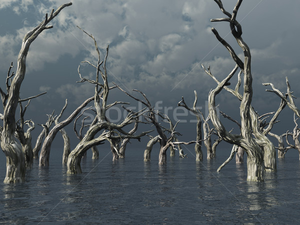 Halott fák sötét víz tájkép 3d illusztráció Stock fotó © drizzd