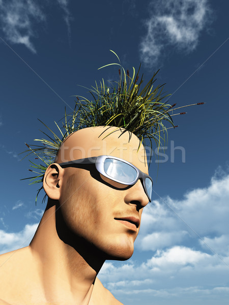 grass mohawk Stock photo © drizzd