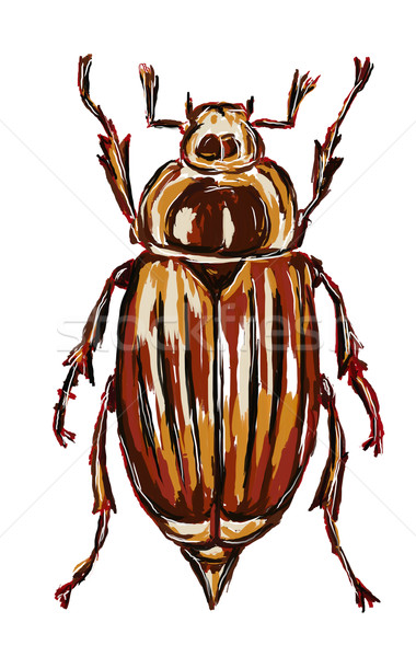 Mayıs böceği el boyalı beyaz uçmak hayvan Stok fotoğraf © drizzd
