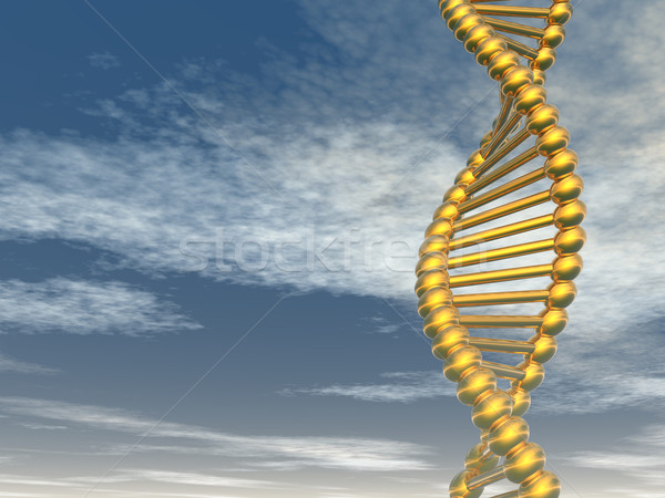 DNA strands Stock photo © drizzd