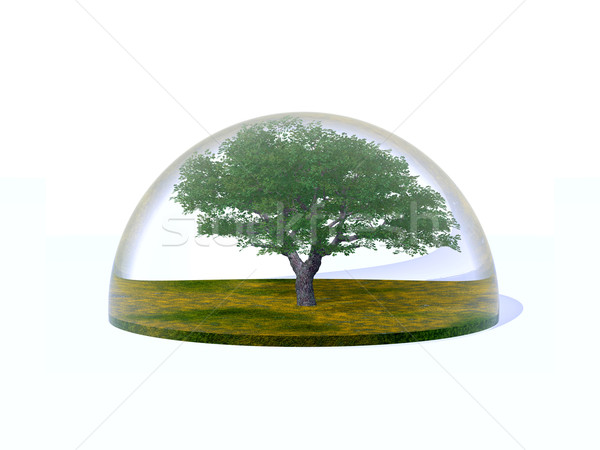 Stock photo: tree