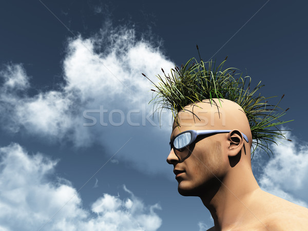 nature punk Stock photo © drizzd