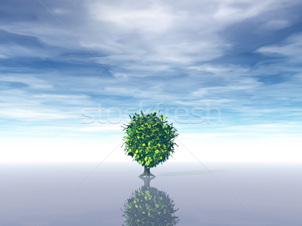 Yalnız ağaç bulutlu mavi gökyüzü 3d illustration gökyüzü Stok fotoğraf © drizzd
