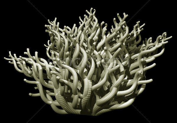 Abstrato orgânico preto ilustração 3d serpente planta Foto stock © drizzd