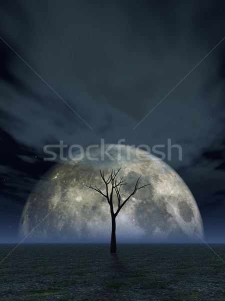 望月 寂寞 死樹 月亮 3d圖 場 商業照片 © drizzd