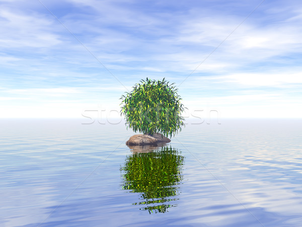 Eenzaam boom water 3d illustration landschap zee Stockfoto © drizzd