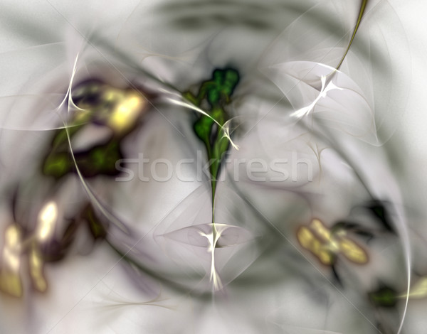 хрупкий аннотация фрактальный белый линия дизайна Сток-фото © drizzd