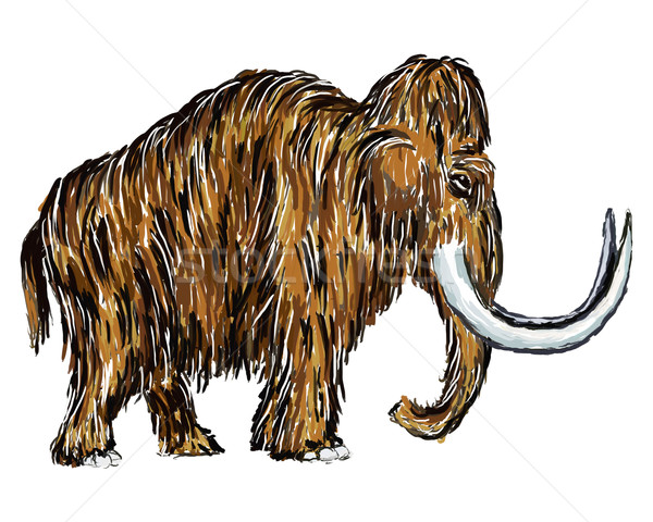 mammoth Stock photo © drizzd