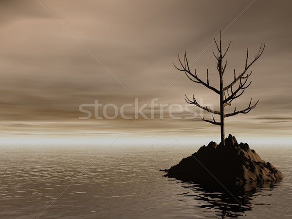 lonely Stock photo © drizzd